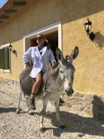 Zvířata v vily nebo okolí