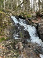 a waterfall in the middle of a forest at Le Repère des Quatre Dubois in Le Tholy