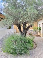 Vonkajšia záhrada v ubytovaní LE CABANON Valbonne