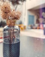 a glass vase with some dried flowers in it at L&#39;Oiseau Bleu ROLLIER in Roubia
