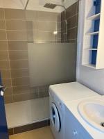 a bathroom with a washing machine and a sink at JV APPART** 5 Pers 5mn Luz 15 mn Ardiden in Luz-Saint-Sauveur