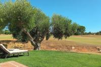 Zahrada ubytování Casa Los Olivos