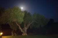 Půdorys ubytování Casa Los Olivos