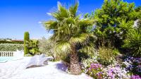 a palm tree in a garden with chairs and flowers at Grande Villa à Sainte Maxime - Golfe de Saint Tropez in Sainte-Maxime