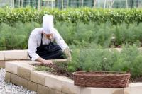 un uomo con un cappello da cuoco sta lavorando in un giardino di Donna Carmela Resort & Lodges a Riposto