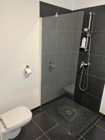 a bathroom with a shower and a toilet at T2 avec très grande terrasse in Bastia
