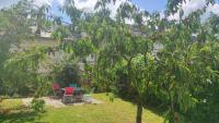 Ogród w obiekcie Maison 6 chambres avec jardin à Angers
