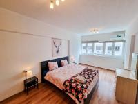 Postel nebo postele na pokoji v ubytování CityCenter Apartment