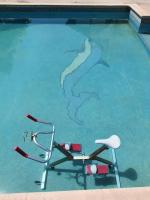 a swimming pool with a chair and a shark in the water at Cadre d&#39;exception in Orange
