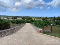 Príroda v okolí of the country house