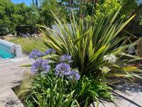 Un jard&iacute;n fuera de Maison de charme avec piscine sur la presqu&#39;&icirc;le