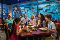 Επισκέπτες που μένουν στο RumFish Beach at TradeWinds