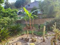 a garden with cacti and plants in a yard at Rez de villa tout confort in Furiani