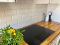Půdorys ubytování Apartamento Céntrico-parking gratuito-Wifi