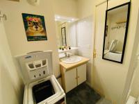 baño pequeño con lavabo y lavadora en La Marmotaine, T2 bis, Parking privé, Balcon vue montagne, en Luchon