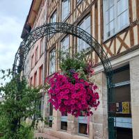 a hanging basket of pink flowers on the side of a building at Le Lovely cosy jacuzzi centre-ville wifi in Rouen