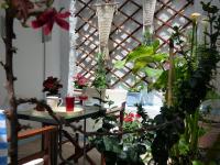 Vonkajšia záhrada v ubytovaní Tasoula Guest House
