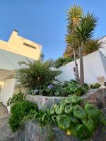 Zahrada ubytování Villa Oasis La Paz - Pelicar Apartment - ADULTS ONLY -