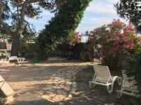 Vonkajšia záhrada v ubytovaní Apartments Mare More