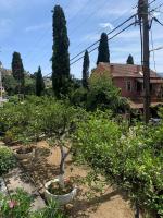 A garden outside Corfu town Kanoni apartment