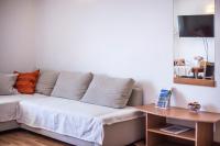 TV a/nebo společenská místnost v ubytování Apartments Branka