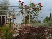 A garden outside Hotel Da Tino