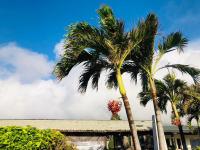 two palm trees in front of a building at Kenting Summerland Garden Resort in Eluan