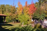 a garden with colorful trees in the background at Lares De Chacras in Chacras de Coria