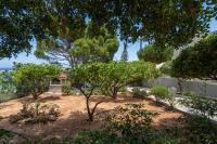 Zahrada ubytování Villa Erato-Stalis