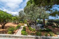 Zahrada ubytování Villa Erato-Stalis