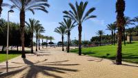 Vonkajšia záhrada v ubytovaní CALA ALTA sun&beach apartaments