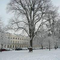 Cheltenham Townhouse - 3/4 bed v zimě