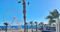 a ferris wheel and palm trees in front of the ocean at Saint-Raphaël-Front de Mer-WIFI-CLIM in Saint-Raphaël