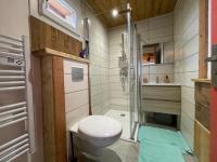a small bathroom with a toilet and a shower at La cabane de dany in La Bresse