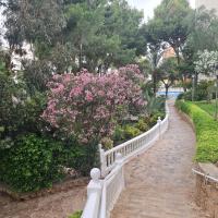Zahrada ubytování Alco apartamentos: Playmon Park