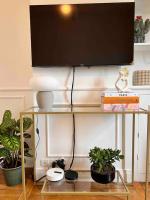 a television on top of a stand with plants at Paris Home in Boulogne-Billancourt