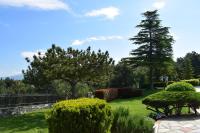 a garden with bushes and trees and a tree at Villa Casa Chrissy in Plagiárion
