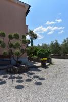 a bonsai tree in a courtyard next to a building at Apartman Fachin in Motovun