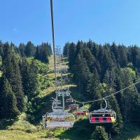 a group of gondolas on a ski lift at APPARTEMENT PLEIN SUD AUX SAISIES N°6 in Les Saisies