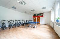 Fitness centrum a/nebo fitness zařízení v ubytování Hotel Sluníčko