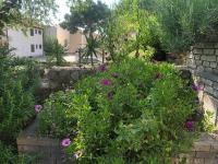 Vonkajšia záhrada v ubytovaní Apartments Stari Pavle