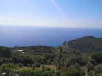 a view of the ocean from a hill with a palm tree at Villa 10 p.Brando 170 m2 vue mer panoramique in Brando