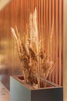 Fotografie z fotogalerie ubytování Emerald Hotel v destinaci Ulcinj