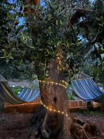 Vonkajšia záhrada v ubytovaní Le Biadelle - Country Boutique Apartments - Villa Laura Ostuni