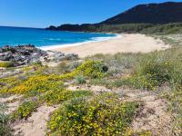 Plán poschodí v ubytovaní Les Balcons du Valinco - Stella di Mare