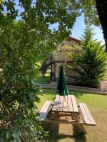 a wooden picnic table with a green umbrella on the grass at Gîte Le Buron in Chazelles