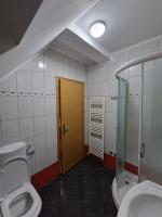 a bathroom with a toilet and a walk in shower at Guest house Wolf II in Plitvička Jezera