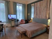 Televízia a/alebo spoločenská miestnosť v ubytovaní Gizella apartman
