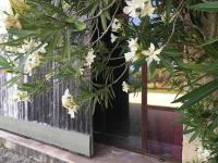 a tree with white flowers in front of a fence at Gite des amis Domaine de Mas Caron in Caromb