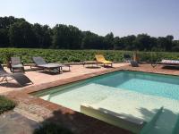 a swimming pool with lounge chairs and a table at Gite des amis Domaine de Mas Caron in Caromb